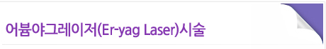 ߱׷(Er-yag Laser)ü